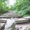 2011 07 18_5397