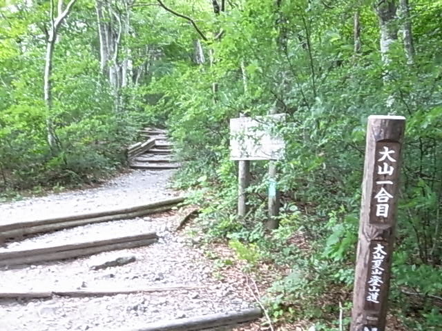 2011 07 18_5388