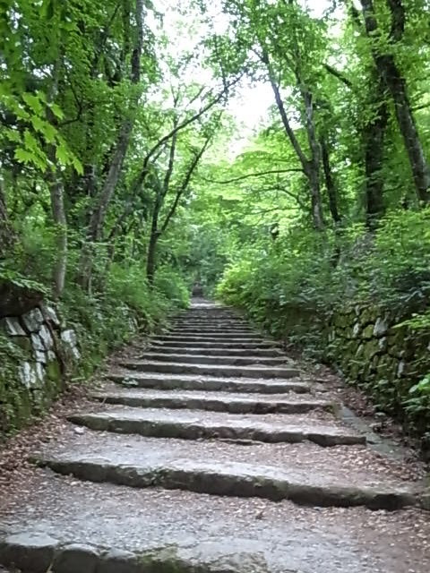 2011 07 18_5382