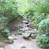 2011 07 18_5399