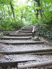 2011 07 18_5386