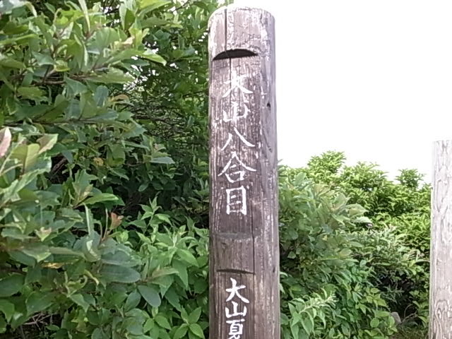 2011 07 18_5470