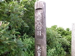 2011 07 18_5470