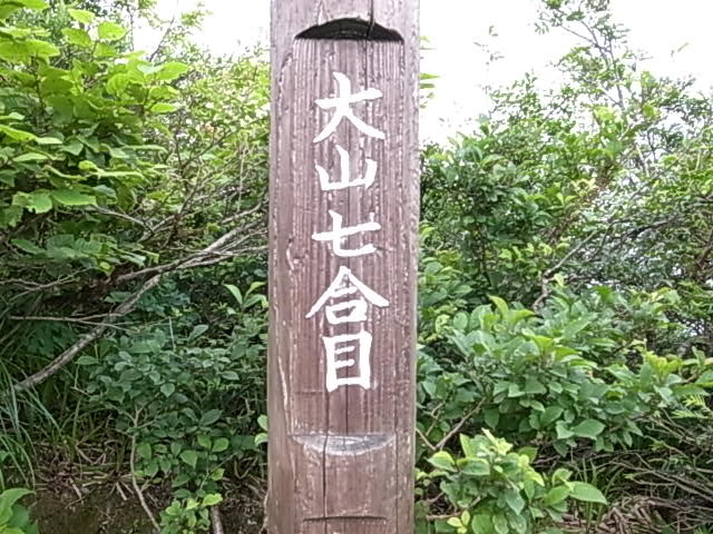 2011 07 18_5432