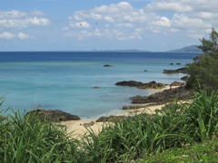 沖縄の色