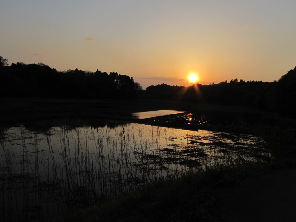 里帰り