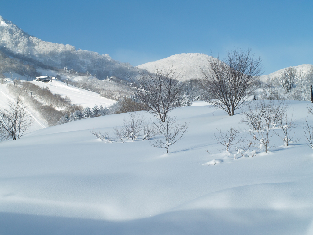 P2250840嵐の翌日
