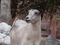 ぬ～～ん