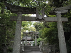 趣き