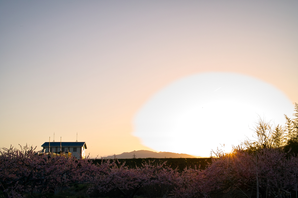 夕日