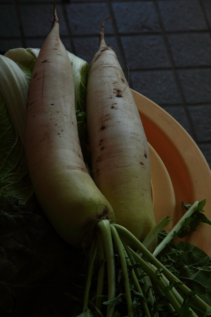 daikon