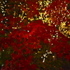 紅葉と光の饗宴