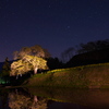 葉桜