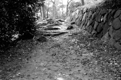舞鶴公園の裏の方