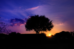 Sunset
