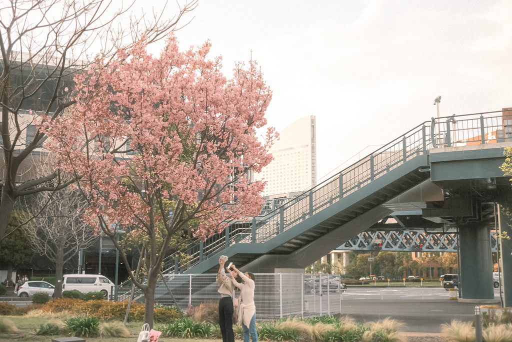 桜のある風景