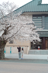 桜の時間