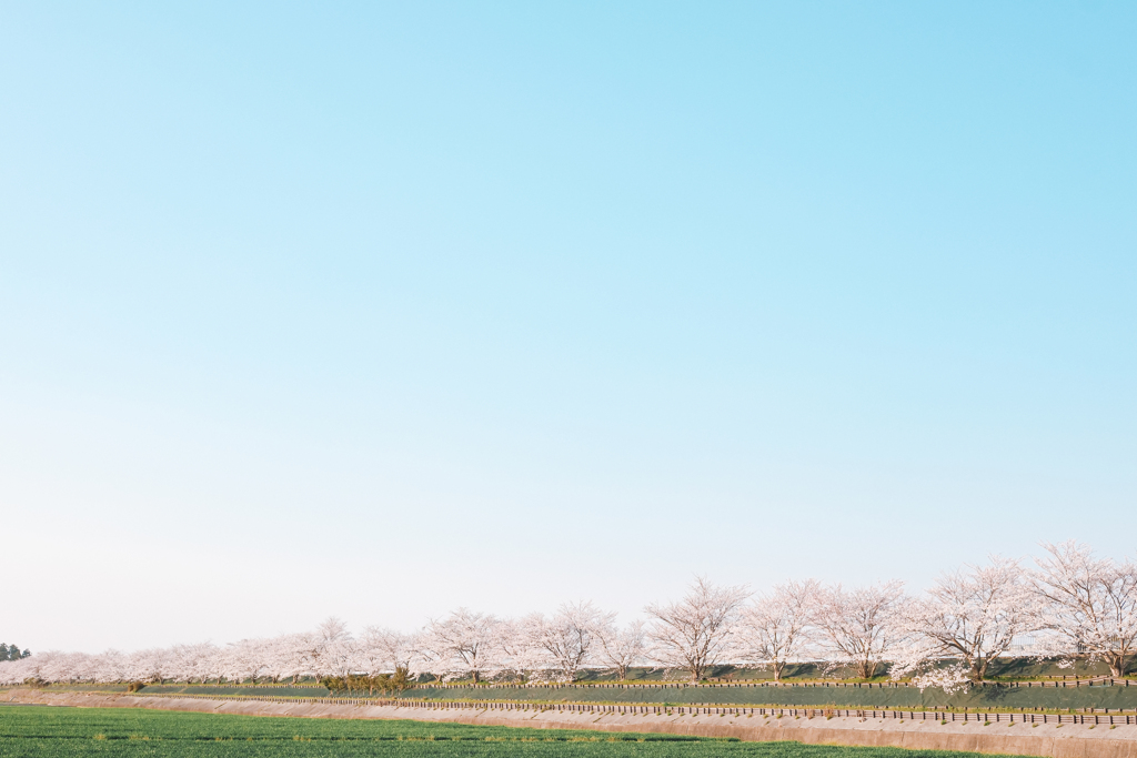彩る田園風景