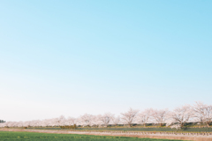 彩る田園風景