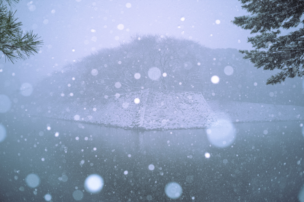 初雪