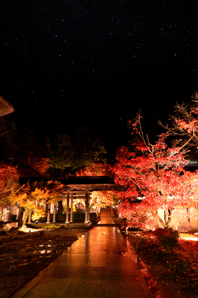 見上げてごらん夜の星を
