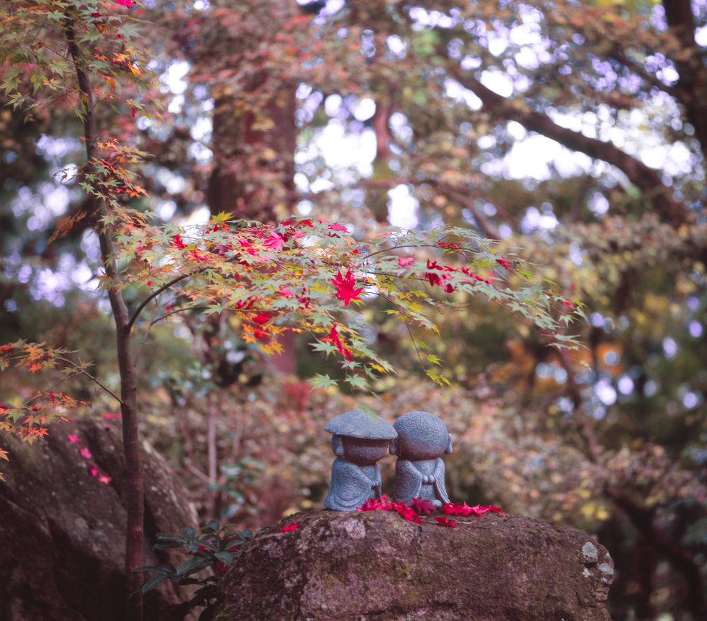 紅葉とお地蔵さま