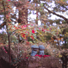 紅葉とお地蔵さま