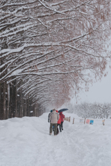 Snow