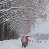 Snow