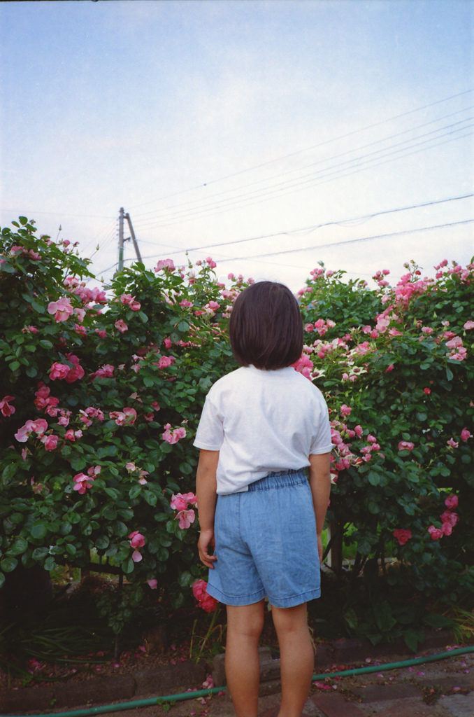 庭遊びの果てに
