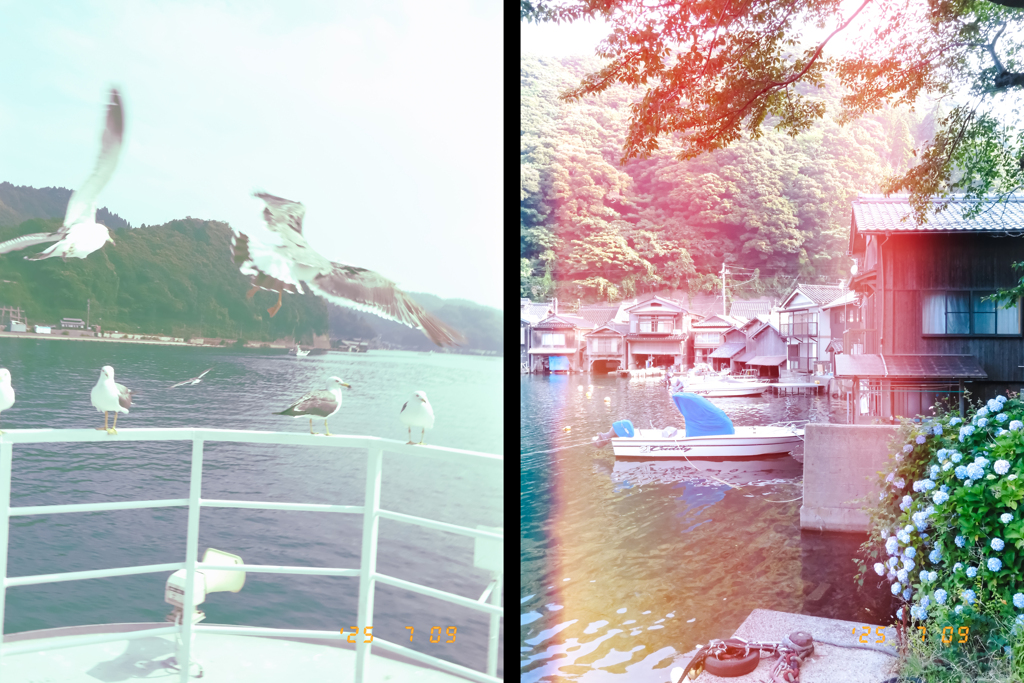 伊根の海