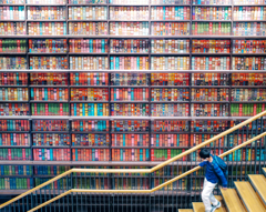 図書館