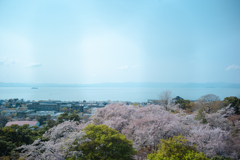 天守閣からの展望
