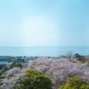 天守閣からの展望