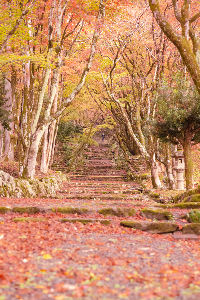 鶏足寺