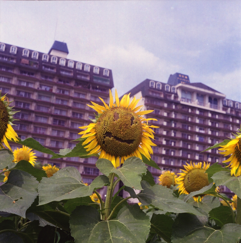 smile