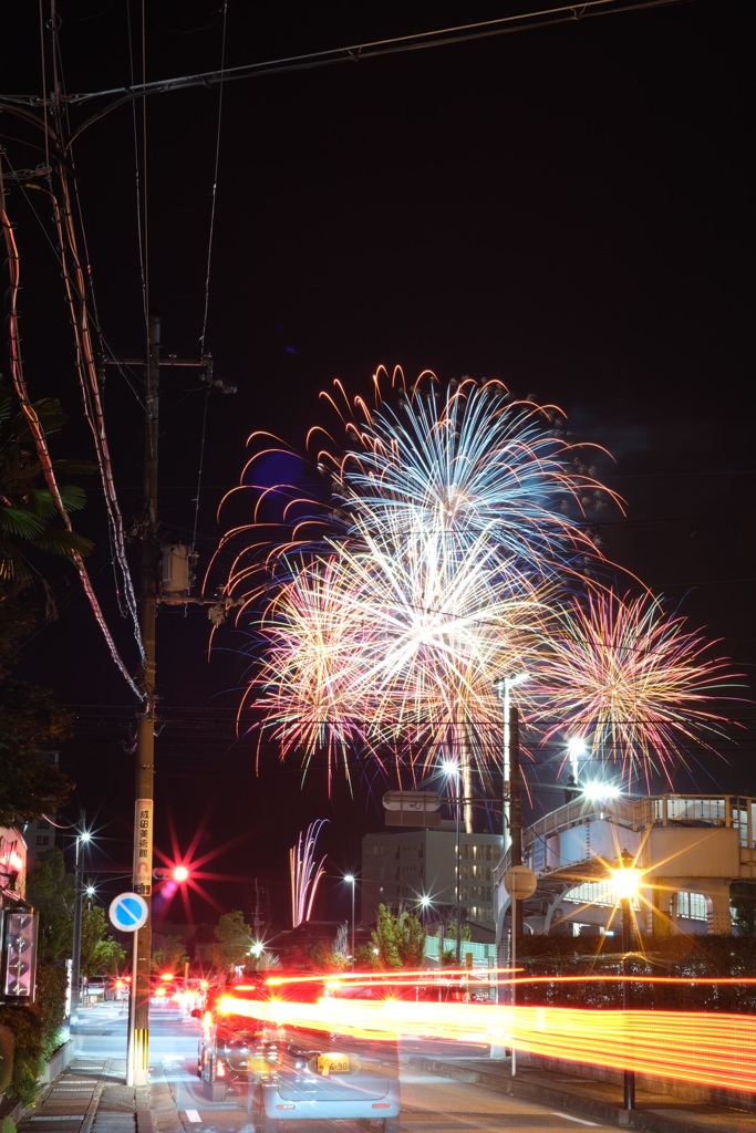 秋の夜長に