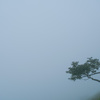 霧の中の風景