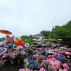 雨と紫陽花と大仏様