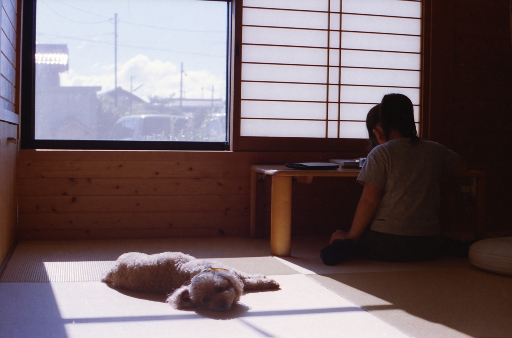 見慣れた風景