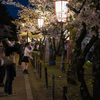 夜桜の時間