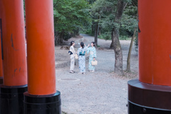 千本鳥居