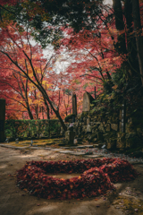 落ち葉を集めて