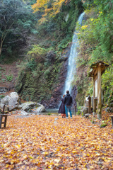 養老の滝