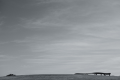 black and white park