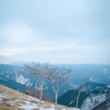山頂目指して