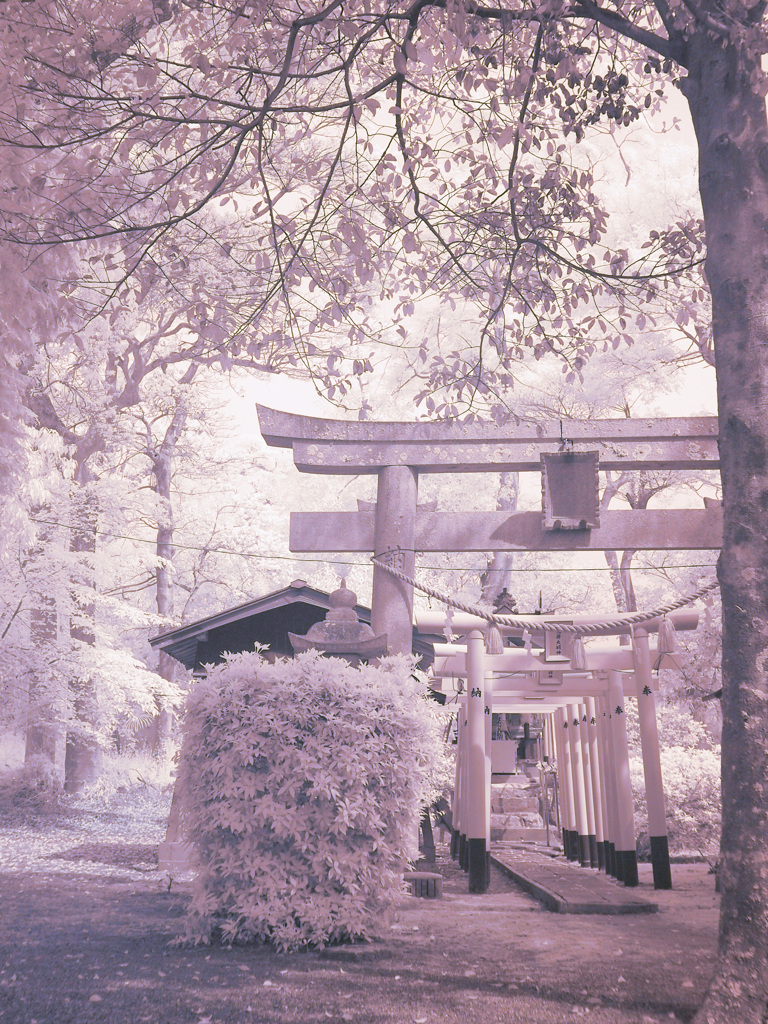 神社×赤外線写真