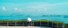瀬戸大橋