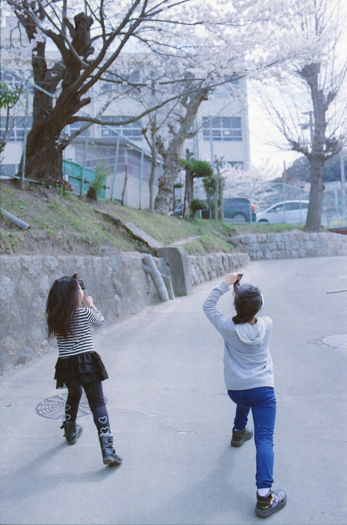 桜舞う季節に