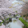 水郷巡り